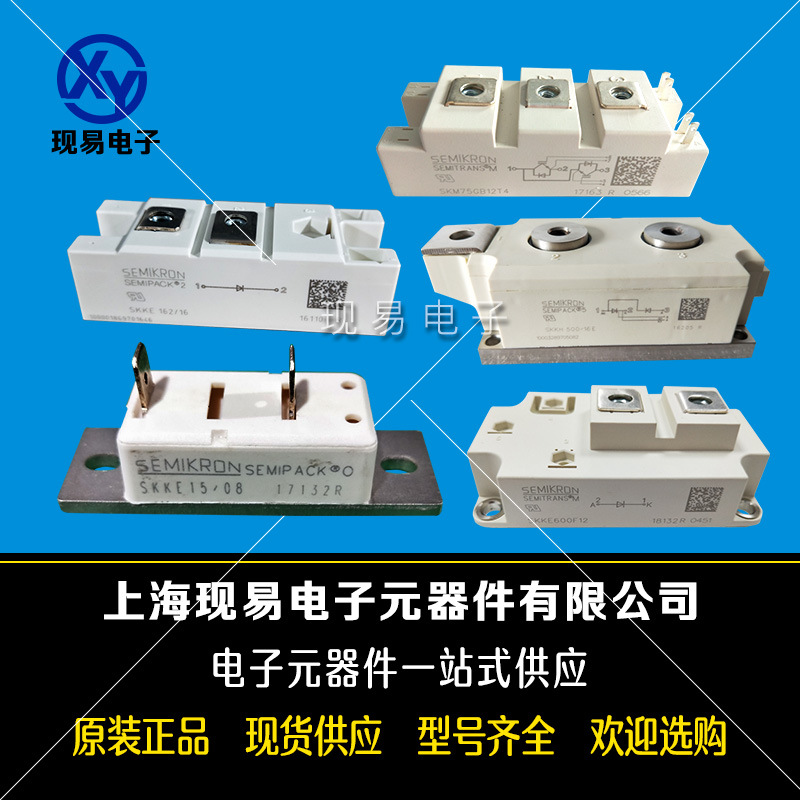 SKKQ1500/12E SKKQ1500/16E德国原装SEMIKRON西门康可控硅模块