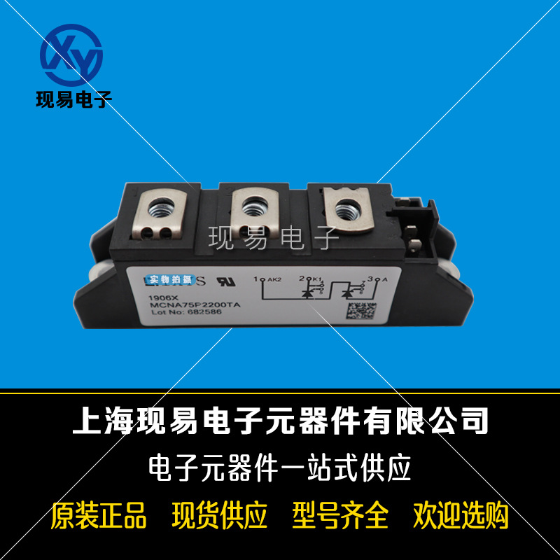 MCNA75P2200TA MCMA85P1200TA全新原装德国IXYS艾赛斯二极管模块